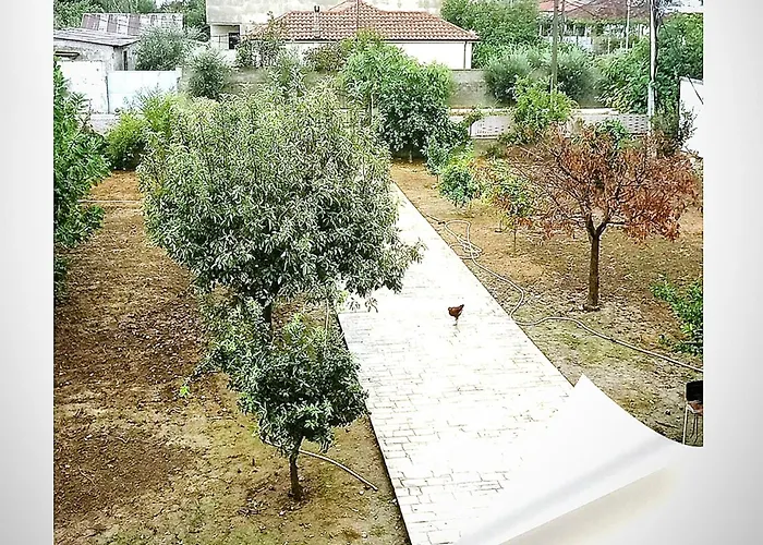 Villas Alessia For Rent Best View