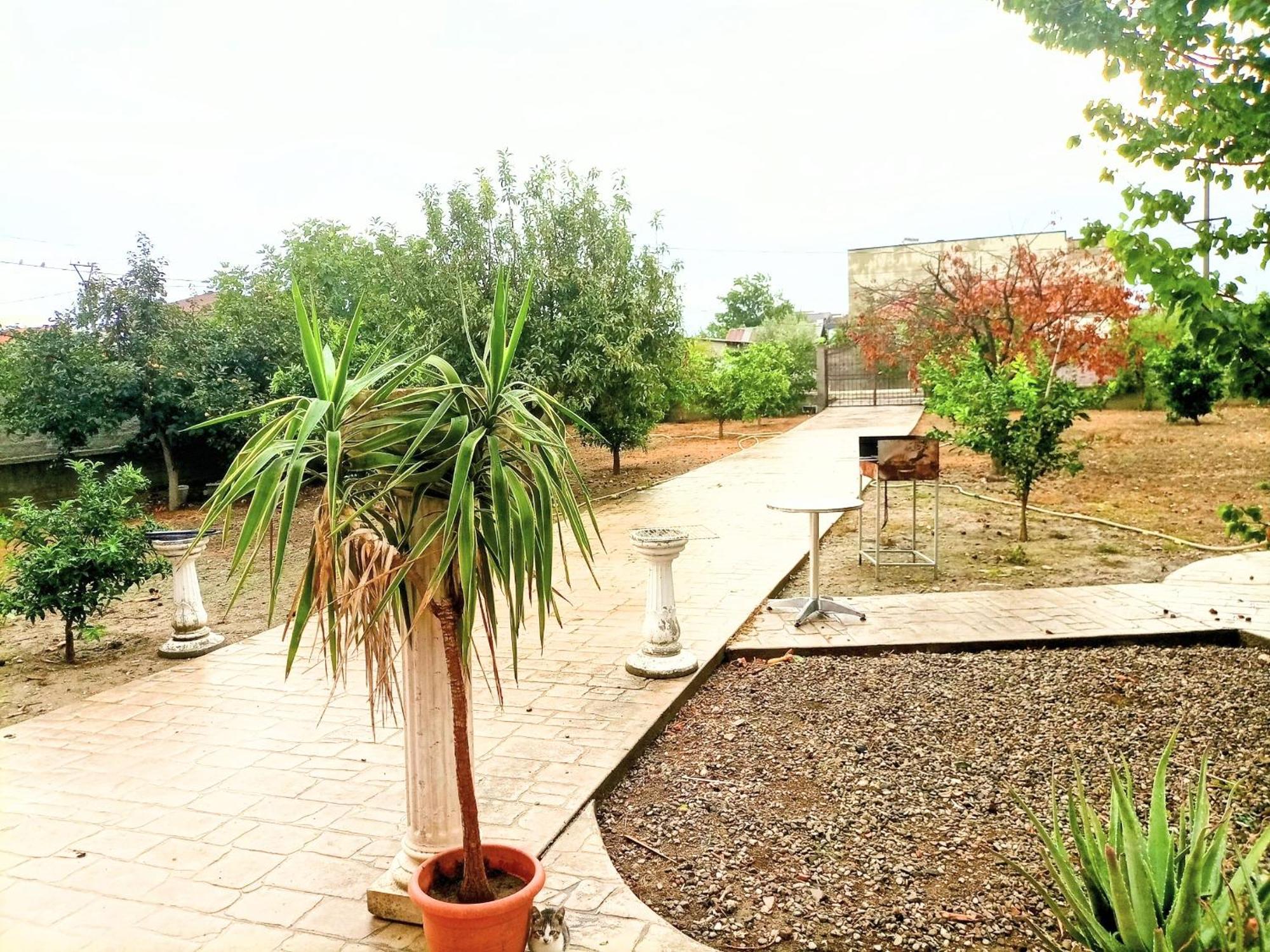 Alessia For Rent View Xhafzotaj