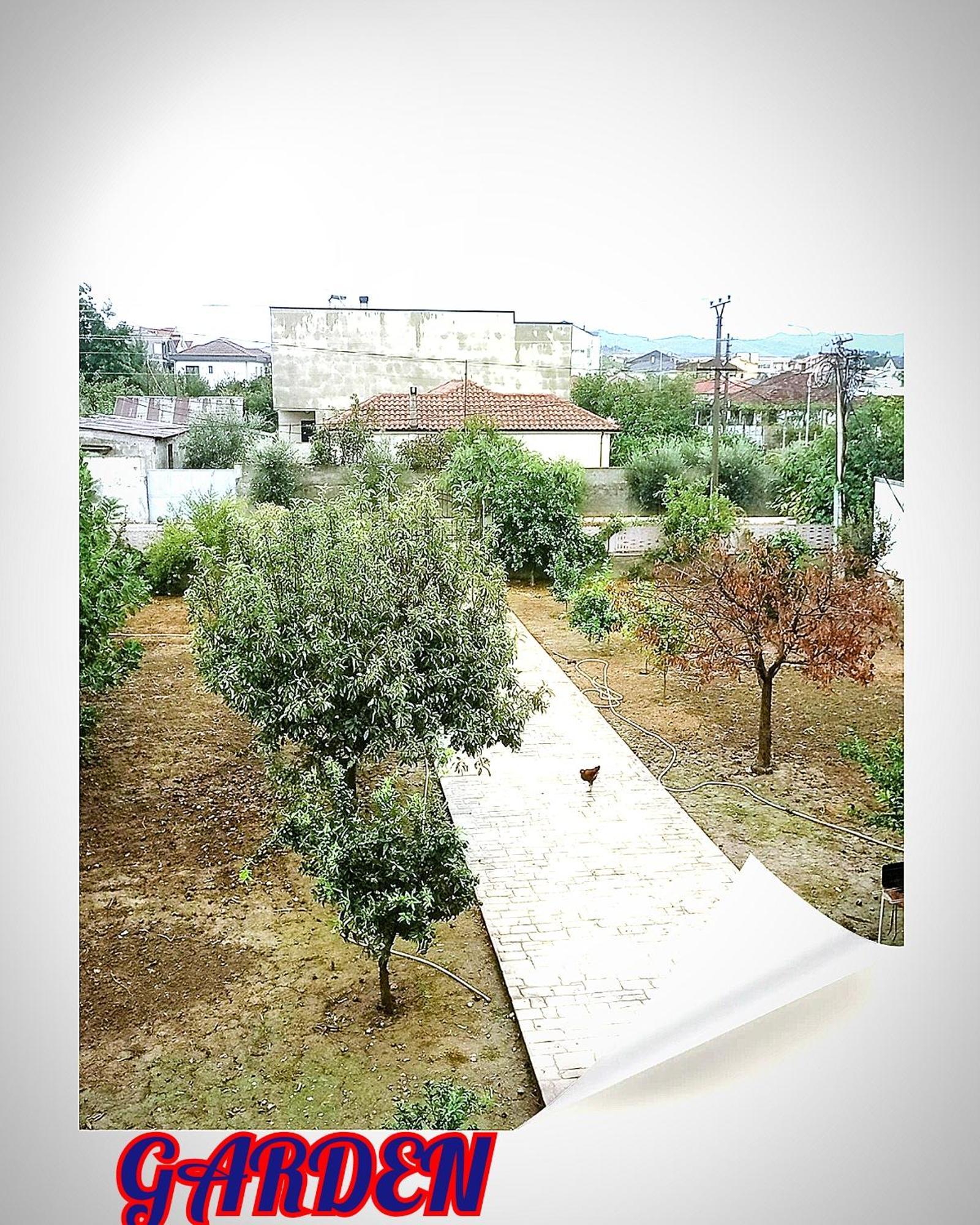 Alessia For Rent View