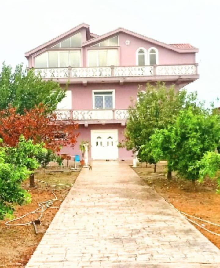 Alessia For Rent View Apartament